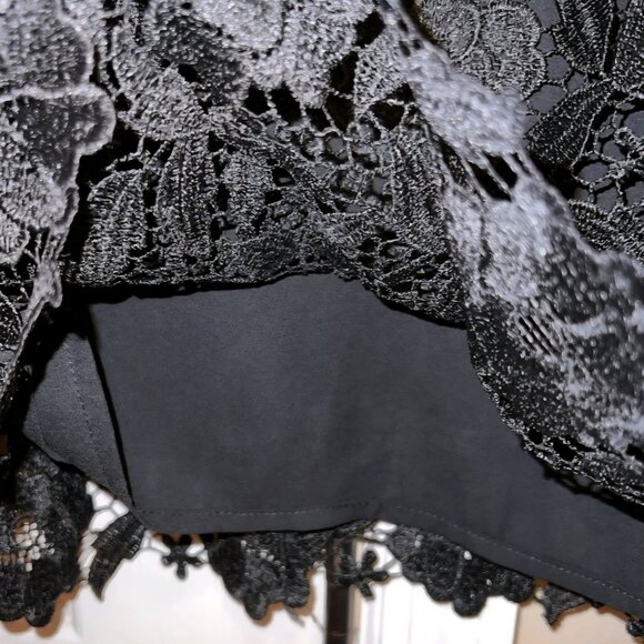 NWT Ryegrass Special Occasion lace lined black Holiday Whimsigoth blouse Top 3X - Picture 3 of 4